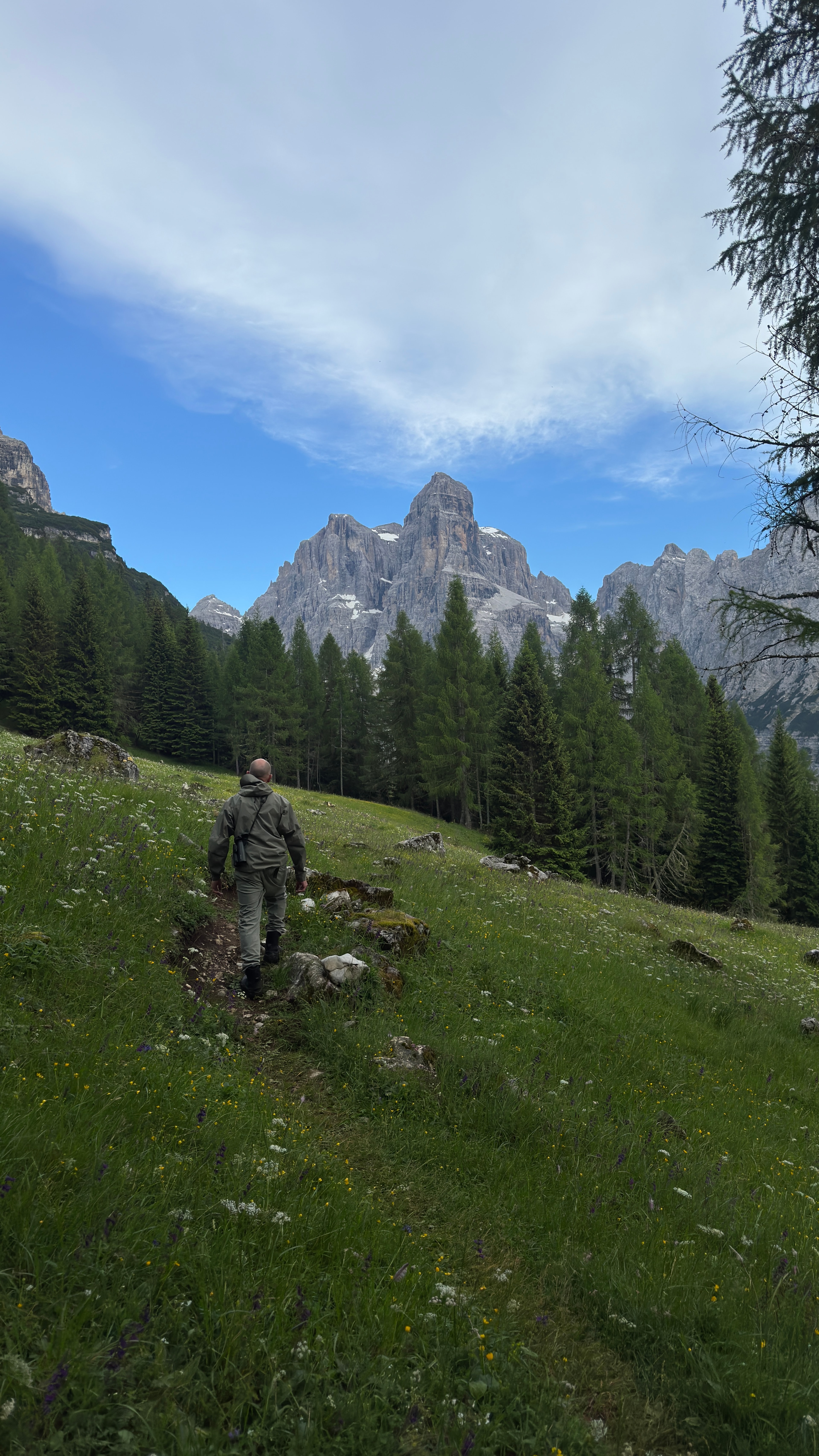 Warren Collum walking a path through a wildflower meadow towards alpine peaks
